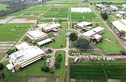 写真　国際稲研究所(IRRI)